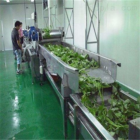 净菜加工设备-大连泰合机械制造有限公司