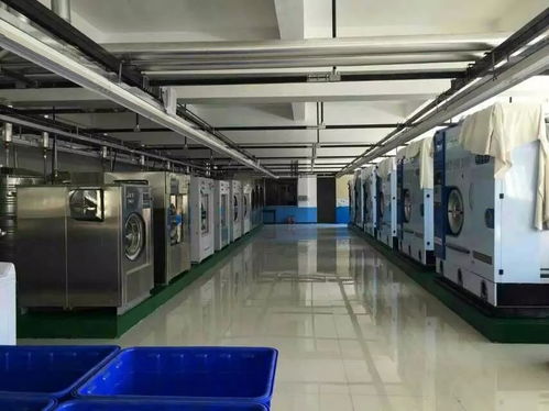 干洗店专用烘干机报价 厂家