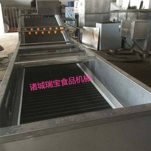 高压洗果机商用 洗果机商用 瑞宝食品机械