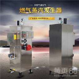 水洗厂专用设备立式天然气蒸汽发生器