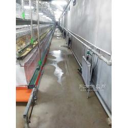 供应育雏专用水暖风机 鸡舍加温设备水暖炉配套暖风机